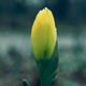 Illustration for article titled 264 Stupendous Spring Wallpapers